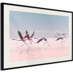 Arkiio Affisch Flamingos Race [Poster] 30x20 Poster